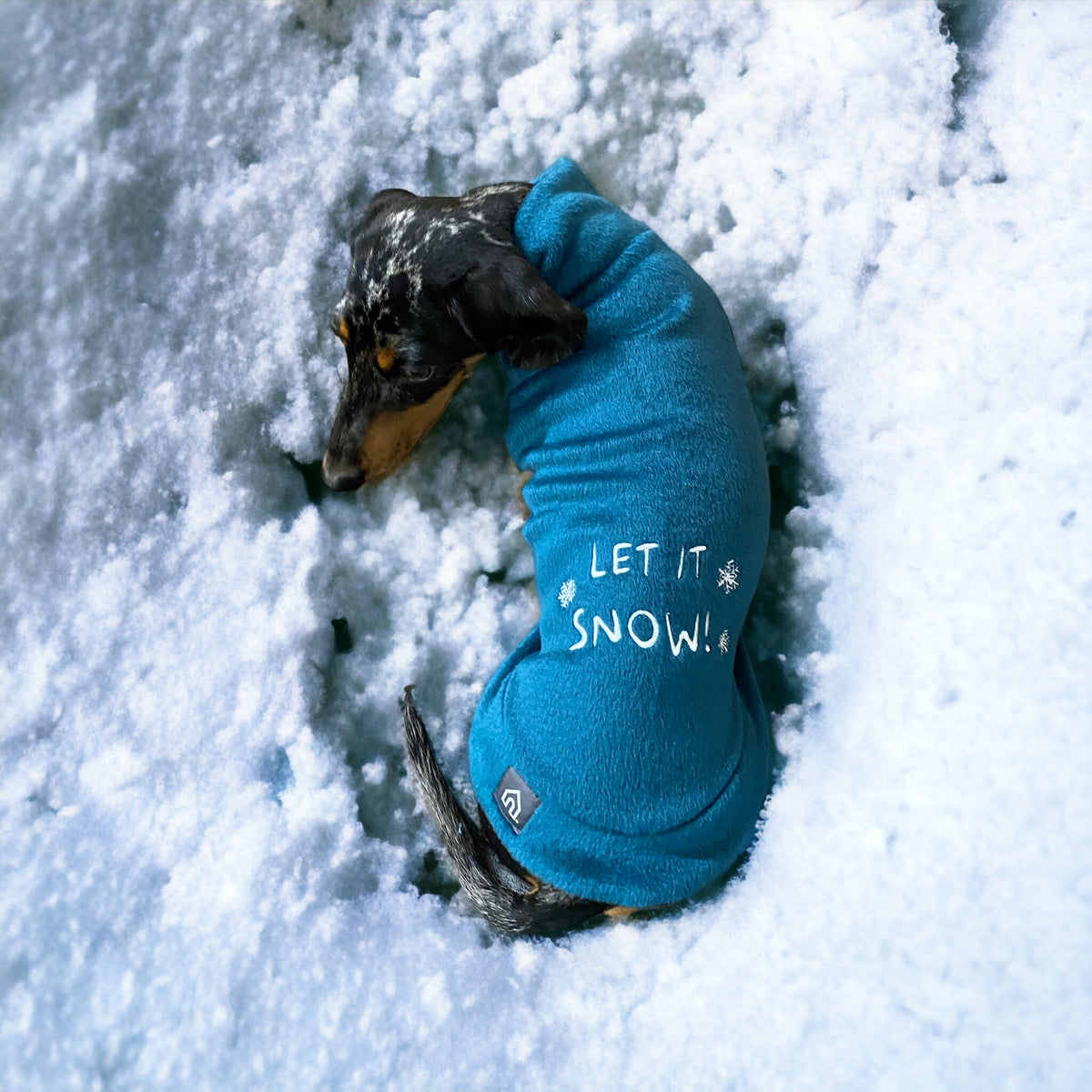 Dachshund christmas jumpers best sale