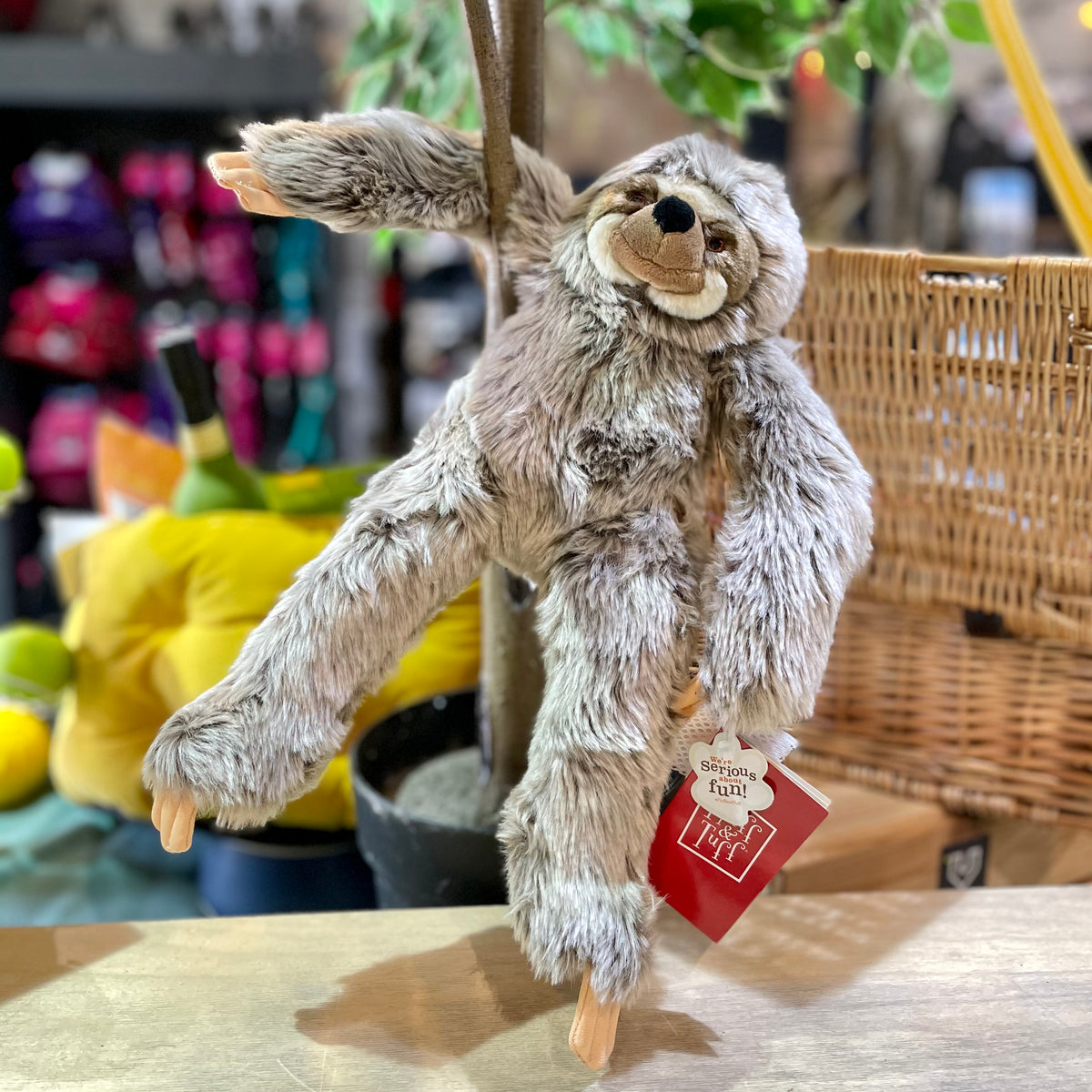 Fluff and shop tuff sloth