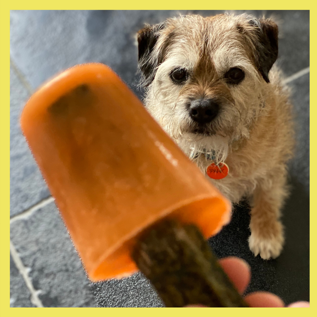 The BEST Pupsicles Recipe (Dog Popsicles!), Recipe