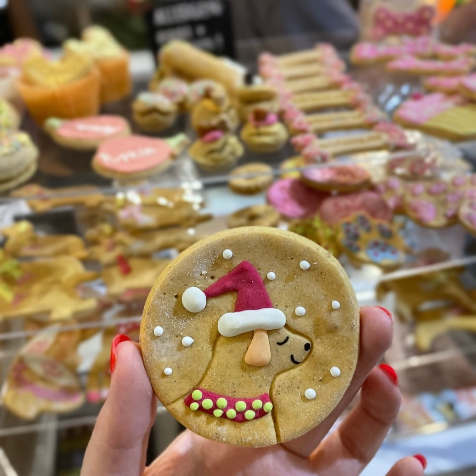 Christmassy dog biscuits 