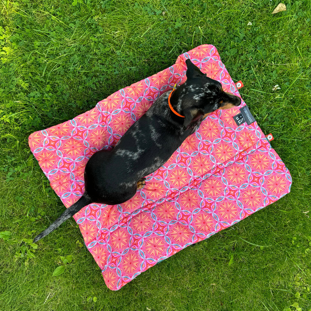 Doghouse Waterproof Summer Pet Blanket