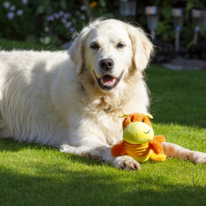 PetFace Cody Caterpillar Plush Toy