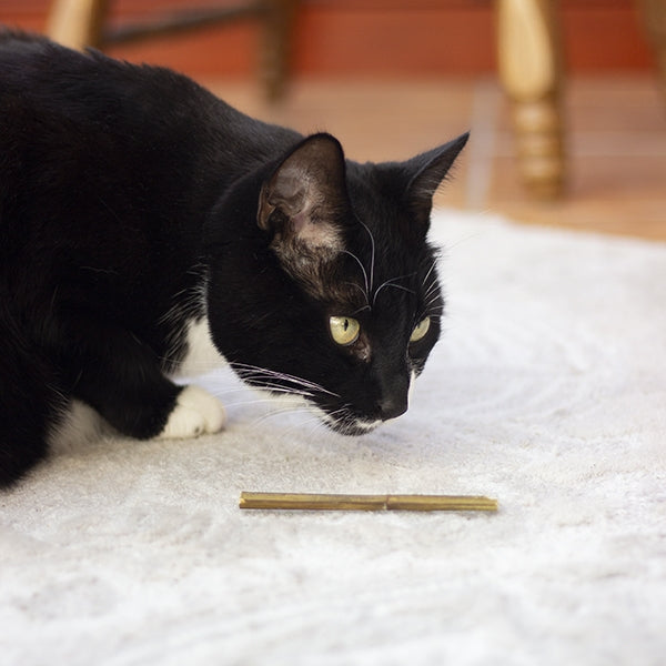 Naturals Catnip Sticks