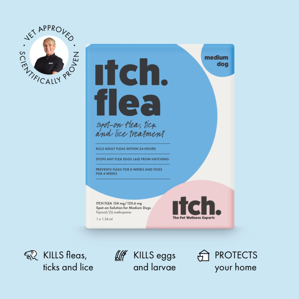 Itch Flea Spot On Treatment for Dogs & Cats