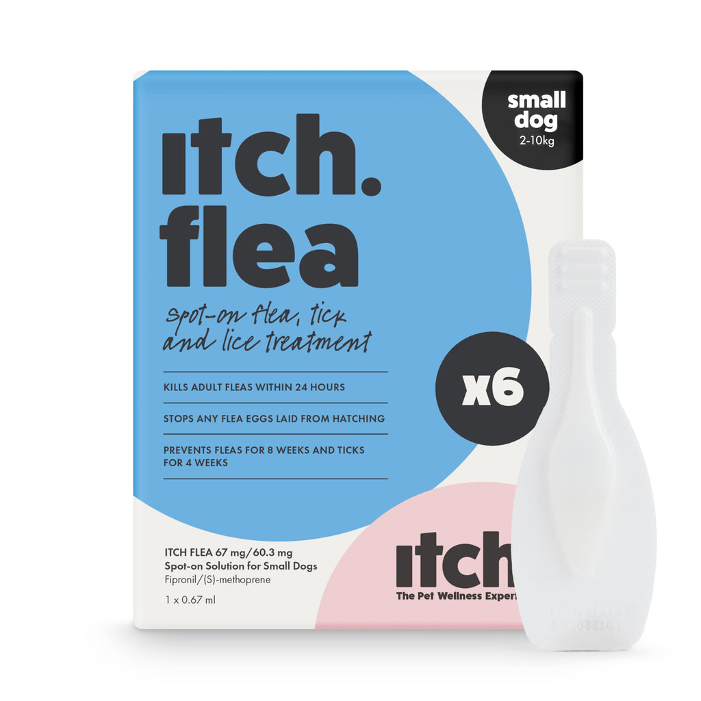 Itch Flea Spot On Treatment for Dogs & Cats