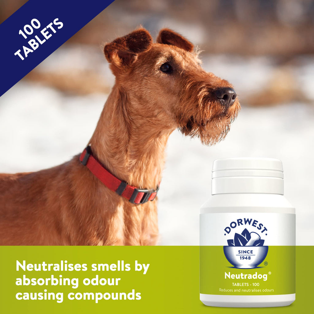 Dorwest Neutradog Tablets for Reducing Odours