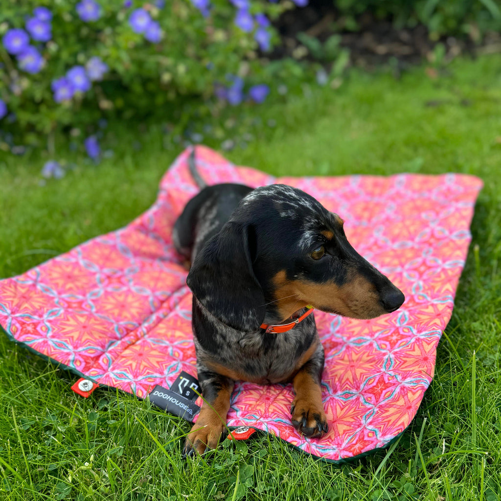 Doghouse Waterproof Summer Pet Blanket