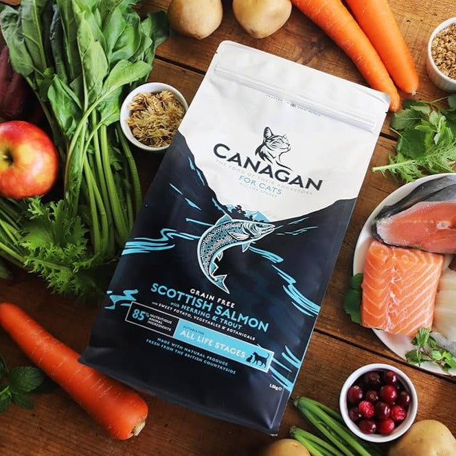 Canagan Scottish Salmon Dry Food For Cats