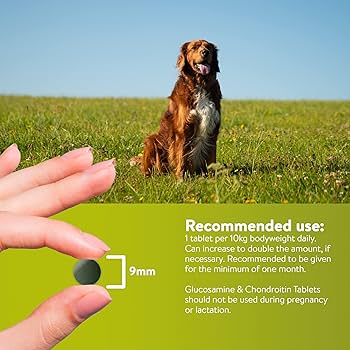 Dorwest Neutradog Tablets for Reducing Odours