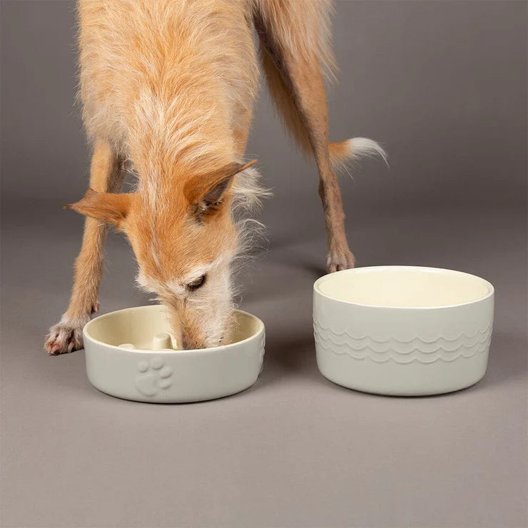 Scruffs Icon Water Bowl