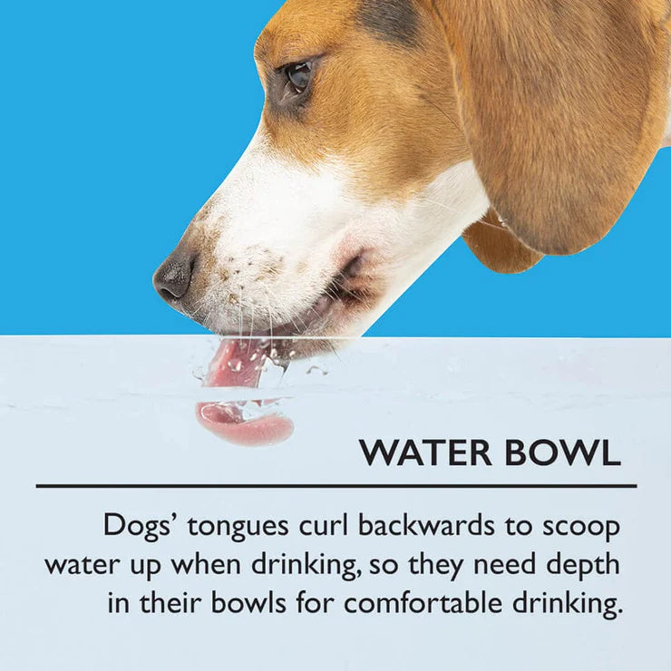 Scruffs Icon Water Bowl