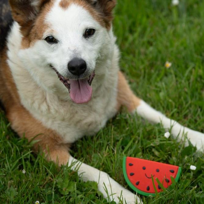 foodie face watermelon