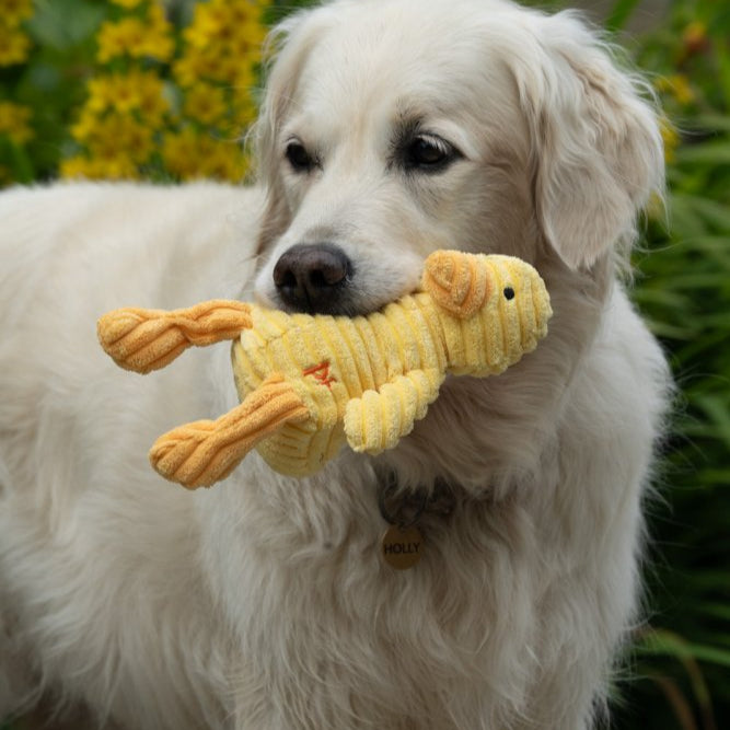 PetFace Little Denny Duckling Plush Toy