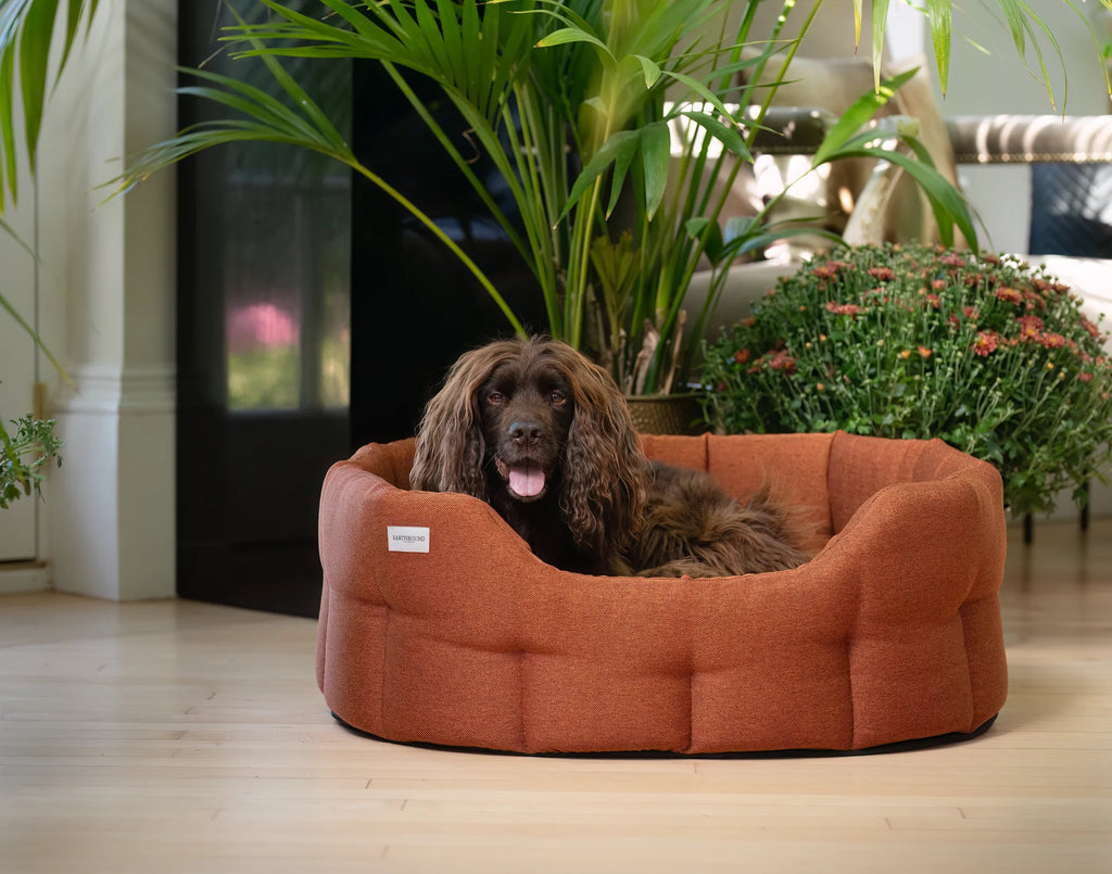 camden burnt orange dog bed
