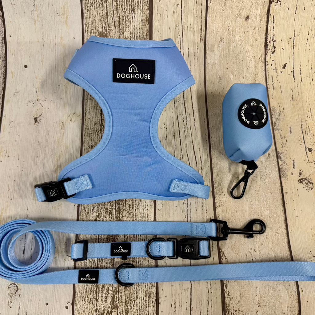 doghouse pale blue dog harness