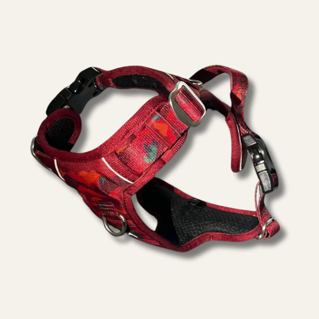 Twiggy tag alpen Glow harness
