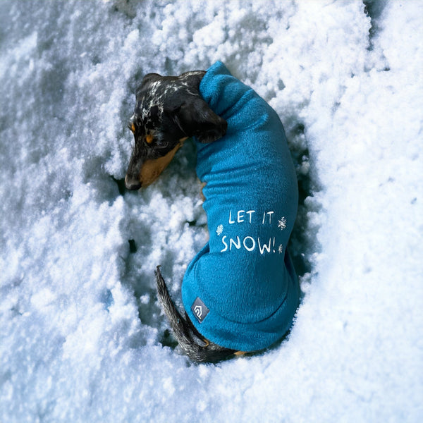 Christmas dachshund outlet jumper