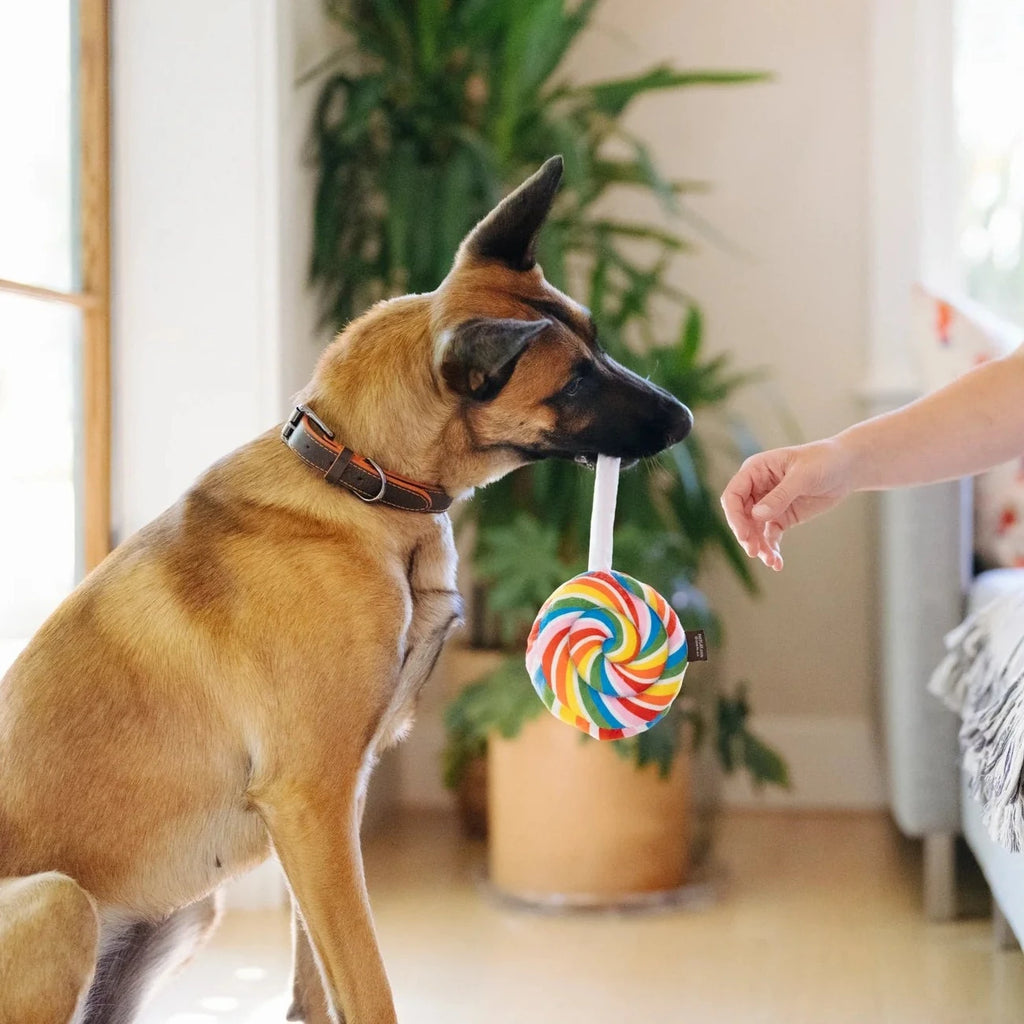 Snack Attack Lollipop