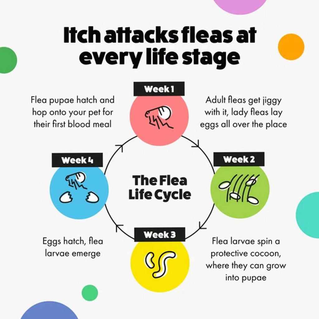 Itch Flea Spot On Treatment for Dogs & Cats