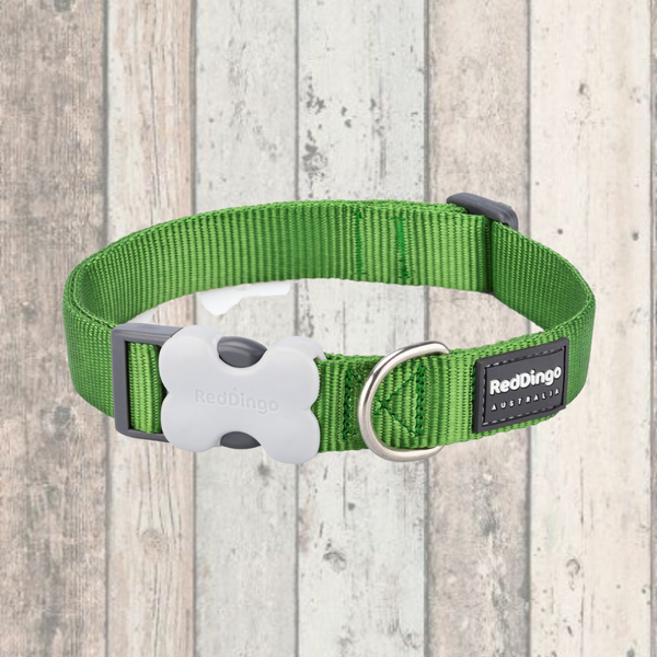 Red Dingo Simply Green Dog Collar and Matching Lead Doghouse DOGHOUSE