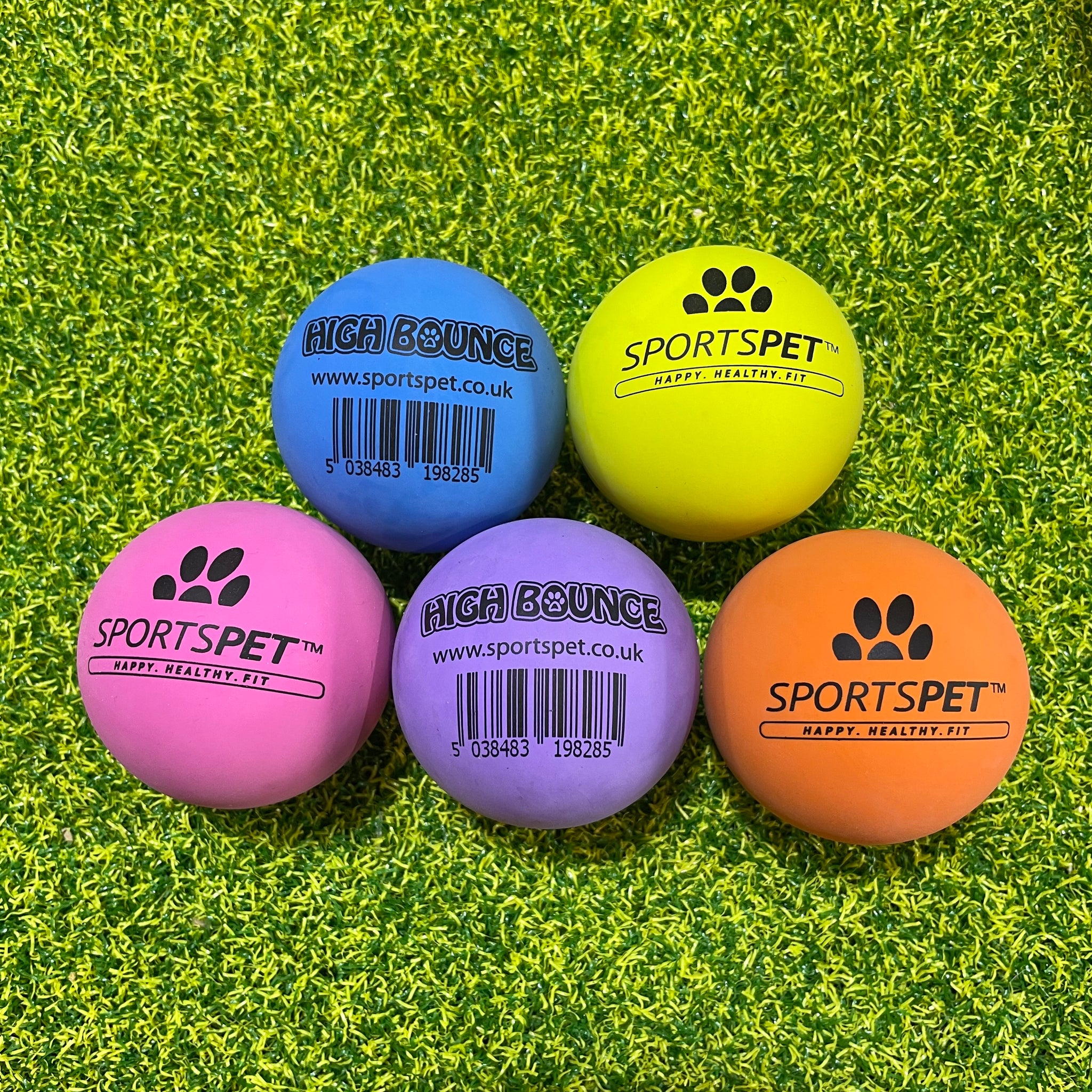 SportsPet High Bounce Rubber Ball DOGHOUSE