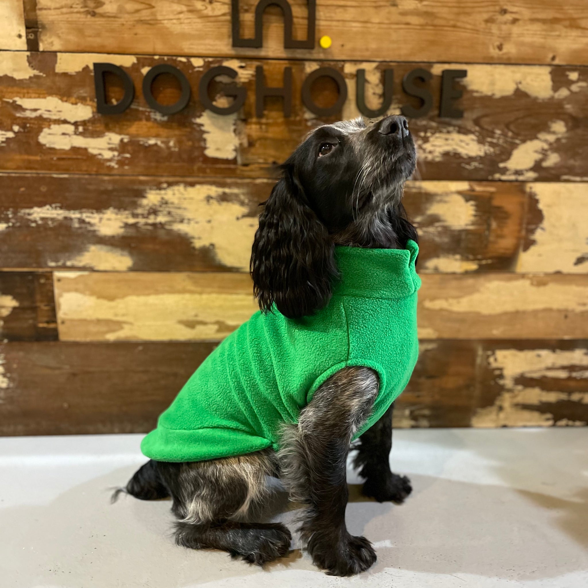 Cocker spaniel christmas jumper hotsell