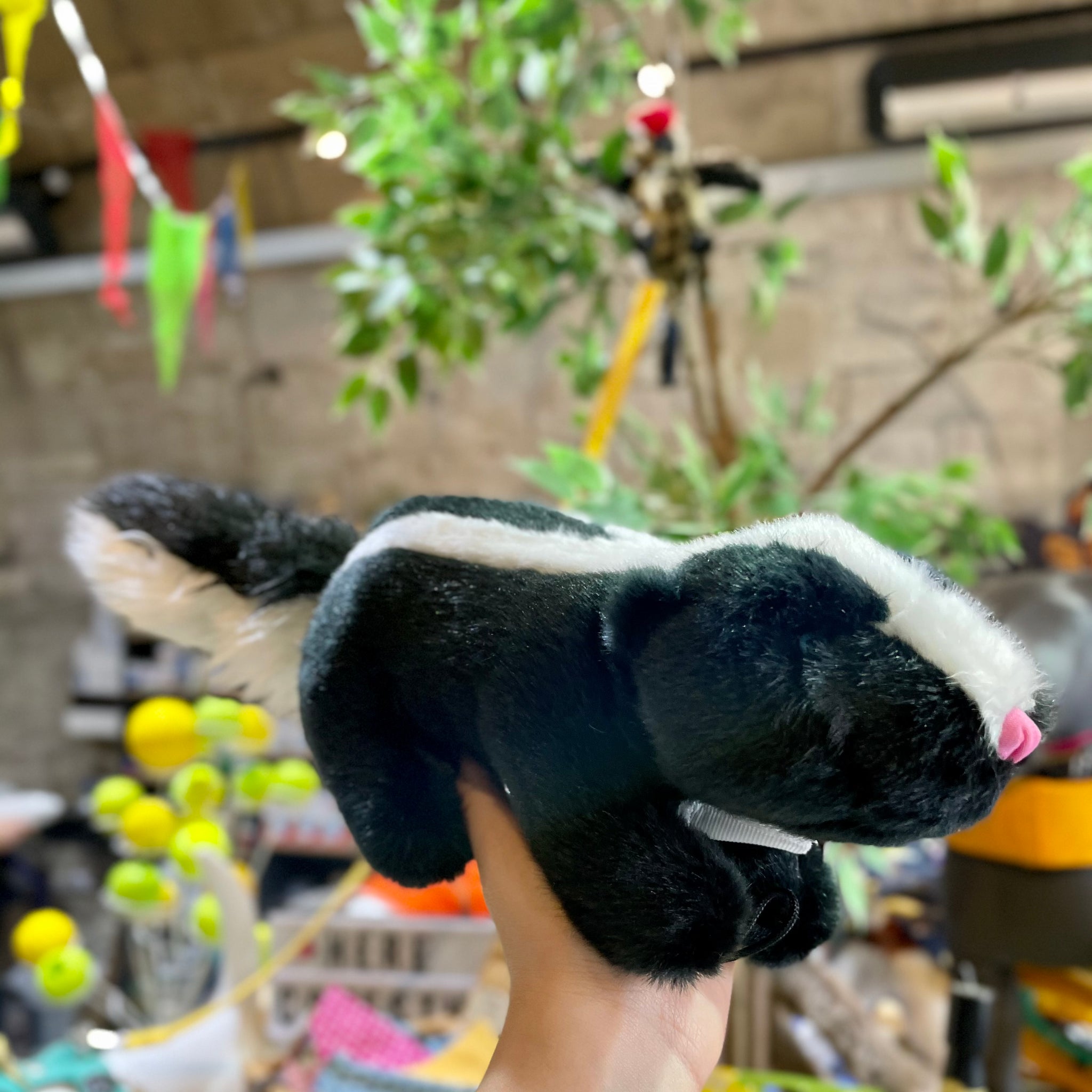 Skunk teddy on sale