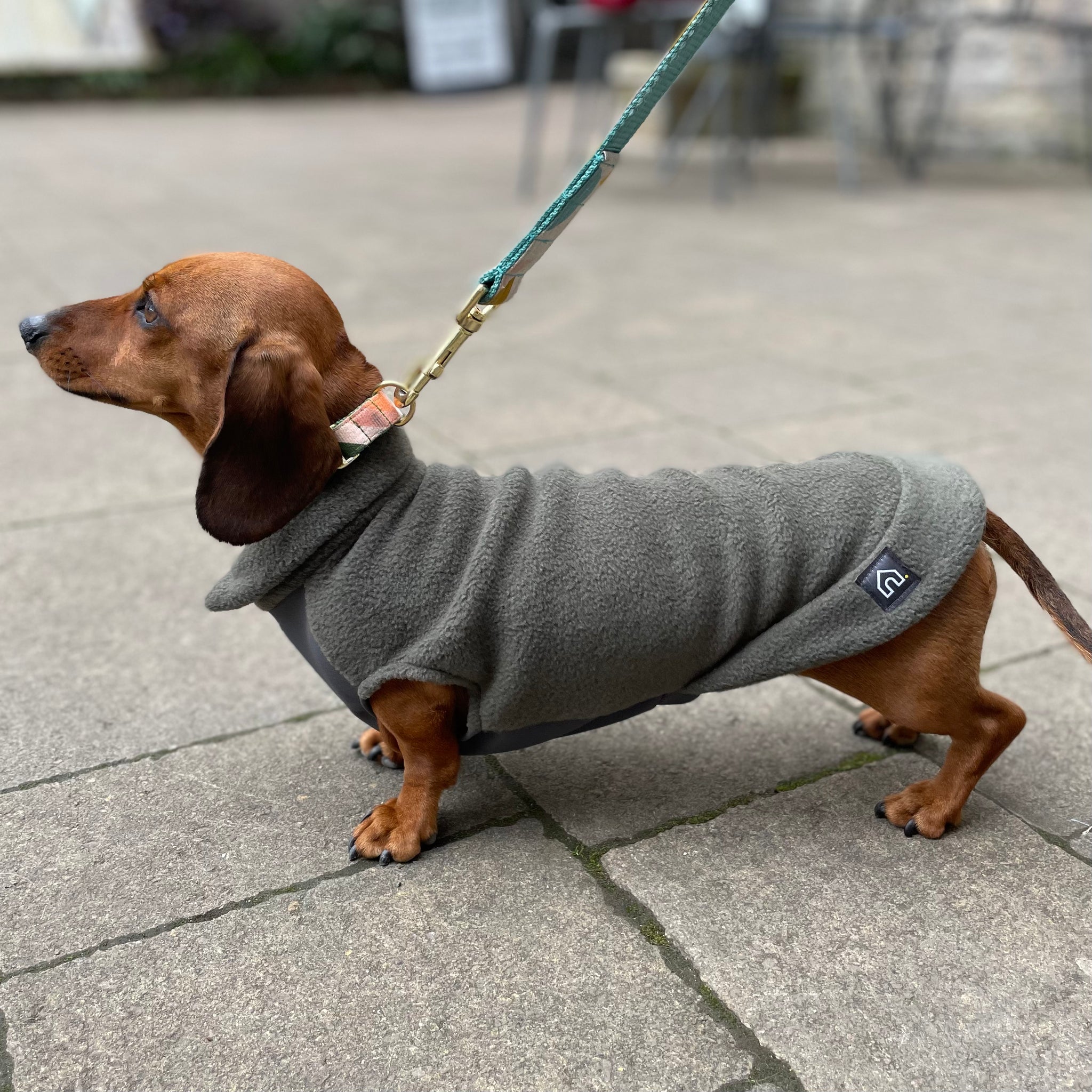 Next sausage dog jumper best sale