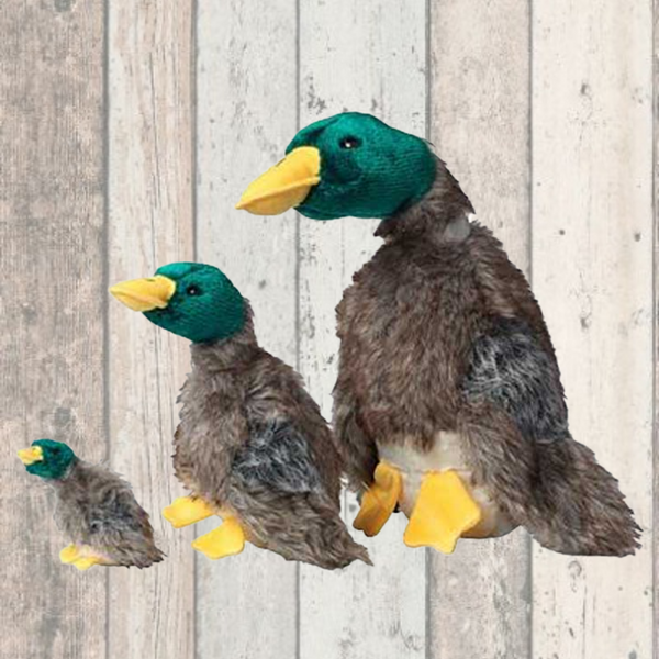 Pets at home duck toy on sale